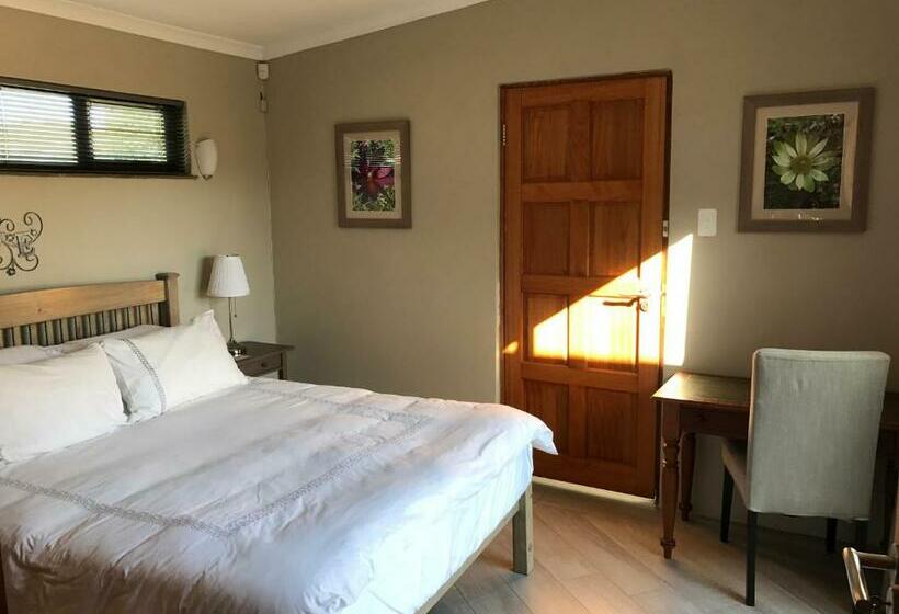 بنجلو قياسى, The Store