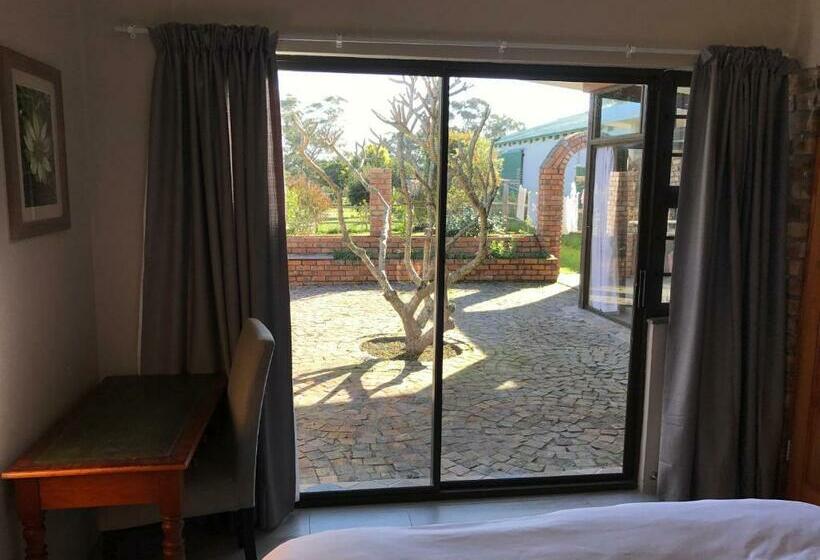 بنجلو قياسى, The Store