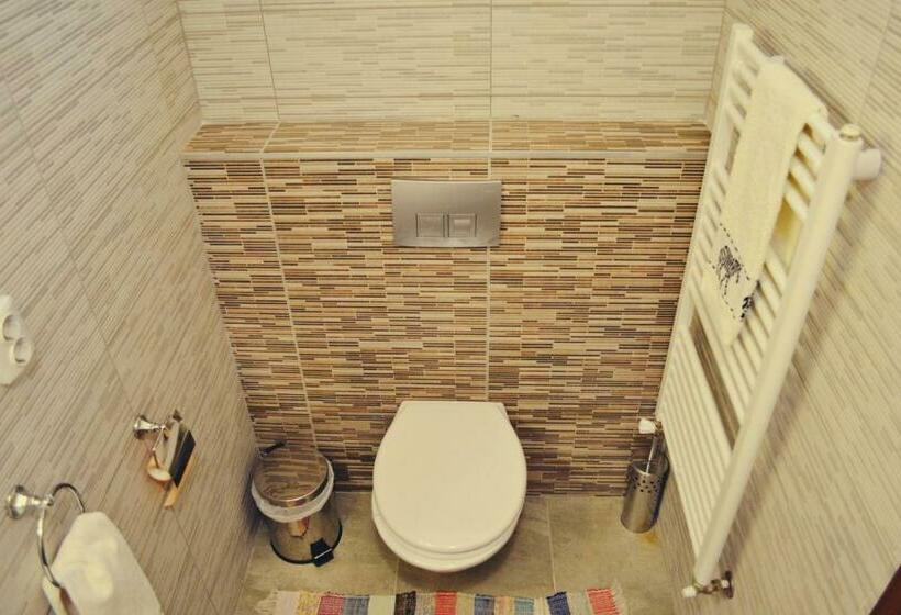 חדר סטנדרט, Pensiunea Ana