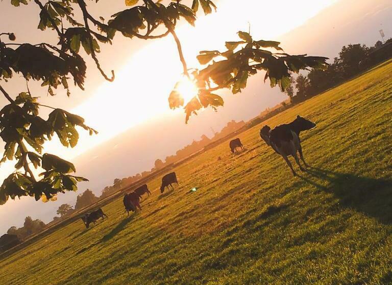 ファミリールーム, B&b De Pauw   Country Home Cooking