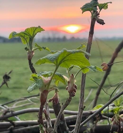 ファミリールーム, B&b De Pauw   Country Home Cooking