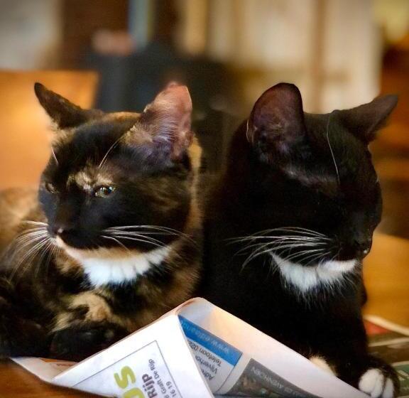 ファミリールーム, B&b De Pauw   Country Home Cooking