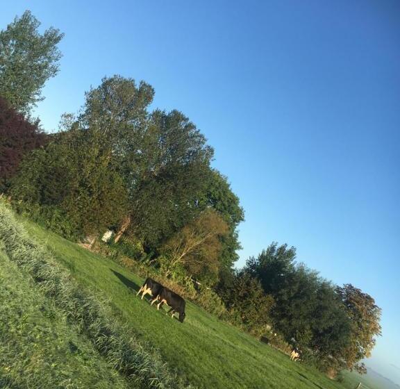 ガーデンビュースタンダードルーム, B&b De Pauw   Country Home Cooking