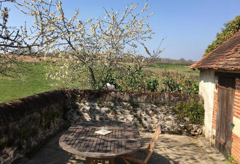 إستوديو قياسى مزودة بتراس, Chateau Mareuil