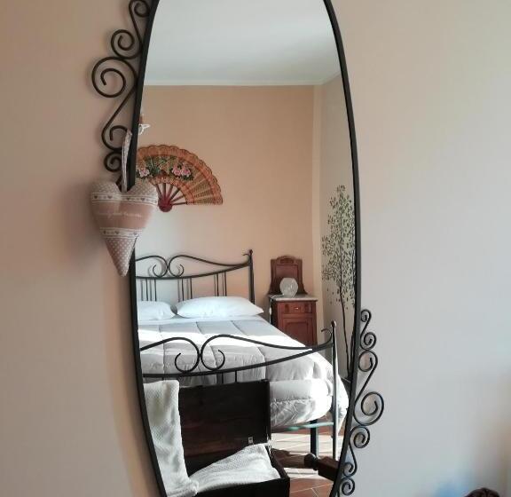 Номер Стандарт, Cit Ni