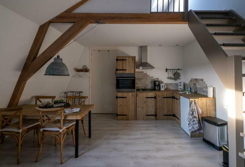 شقة ديلوكس غرفة نوم واحدة, Gastenverblijf Rodenburg