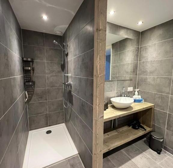 شقة ديلوكس غرفة واحدة, Gastenverblijf Rodenburg