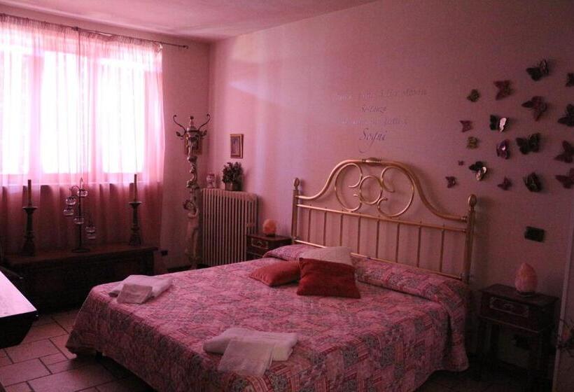 스탠다드 룸, Morgana