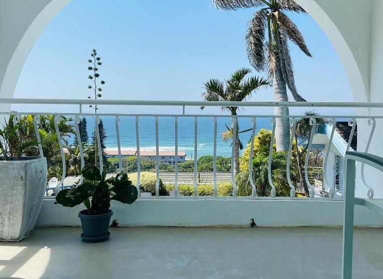 스탠다드 룸, The Lazy Shark