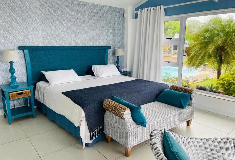 스탠다드 룸, The Lazy Shark