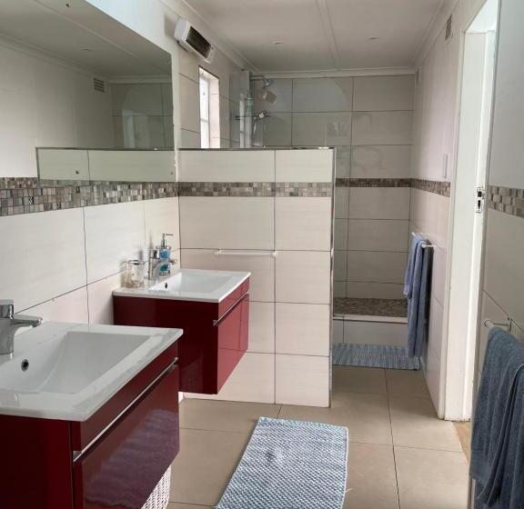 스탠다드 룸, The Lazy Shark