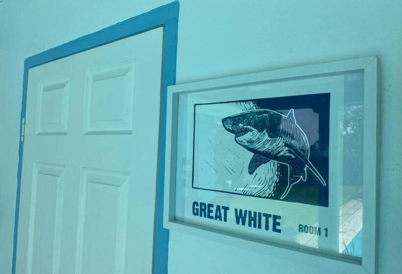 스탠다드 룸, The Lazy Shark