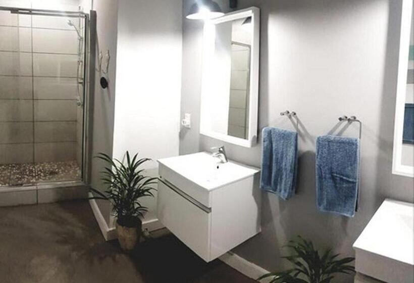 스탠다드 방갈로, The Lazy Shark