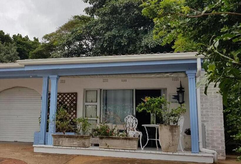 스탠다드 방갈로, The Lazy Shark