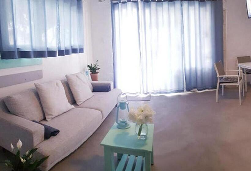 스탠다드 방갈로, The Lazy Shark