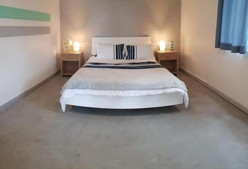 스탠다드 방갈로, The Lazy Shark