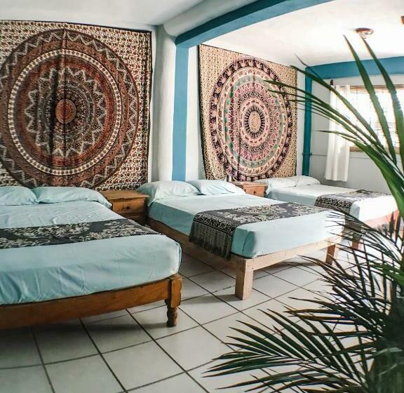 패밀리 룸, Colibri