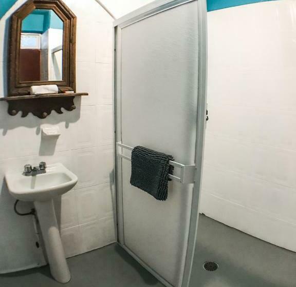 패밀리 룸, Colibri