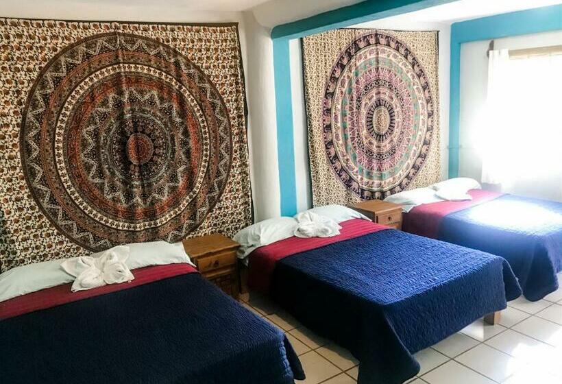 패밀리 룸, Colibri