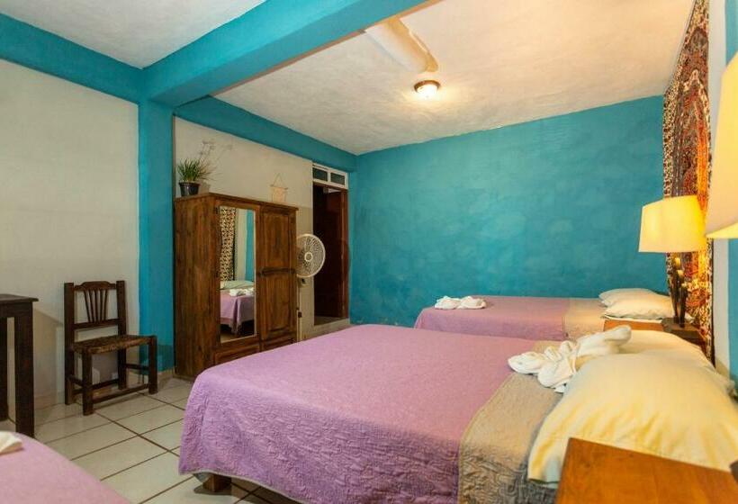 패밀리 룸, Colibri