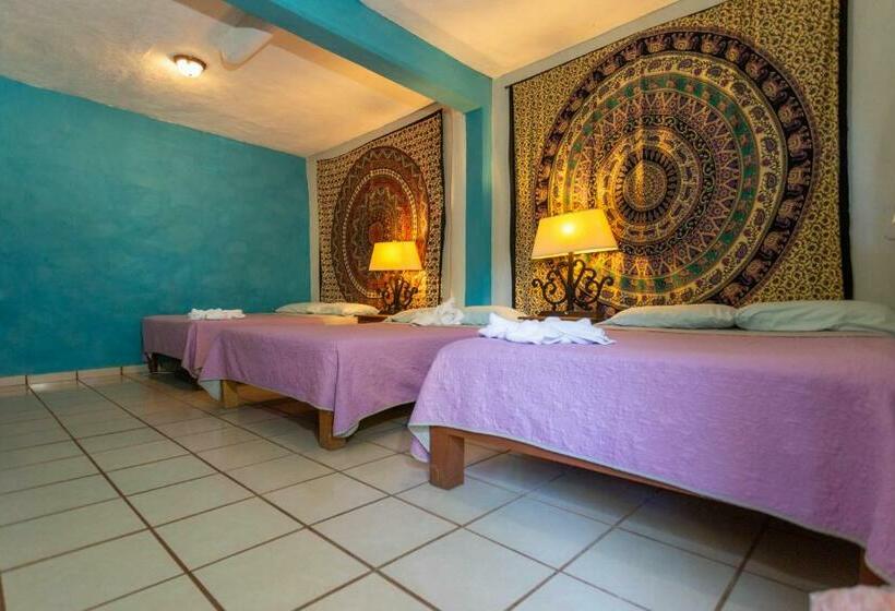 패밀리 룸, Colibri