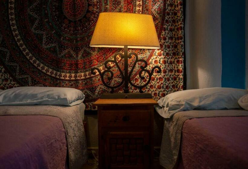 패밀리 룸, Colibri