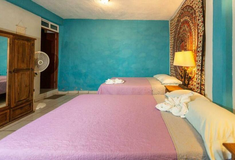 패밀리 룸, Colibri