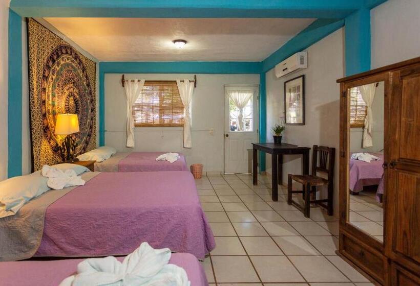 패밀리 룸, Colibri