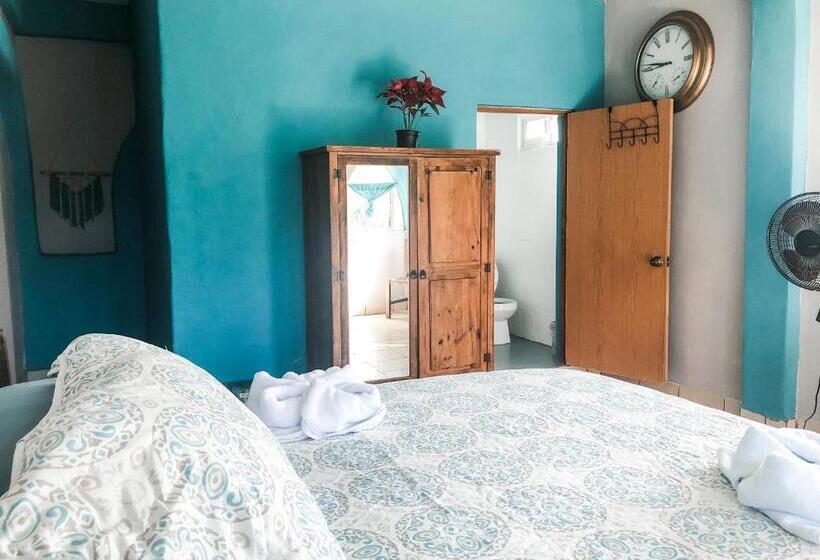 스탠다드 발코니 룸, Colibri