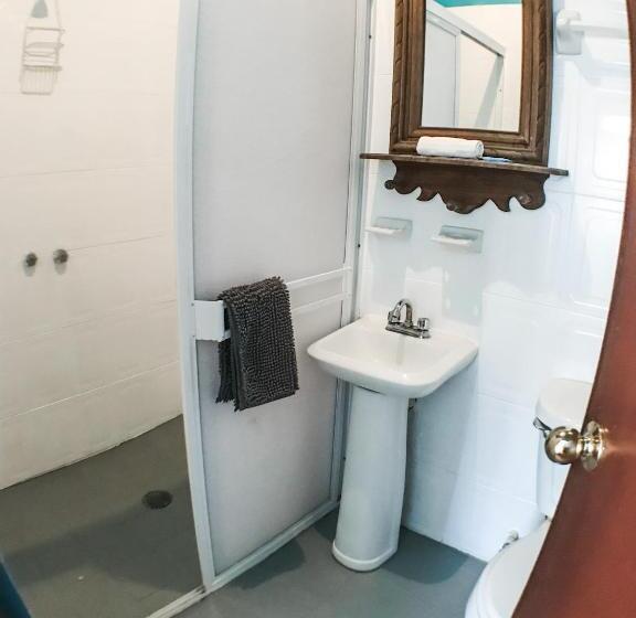 클래식 4인 룸, Colibri