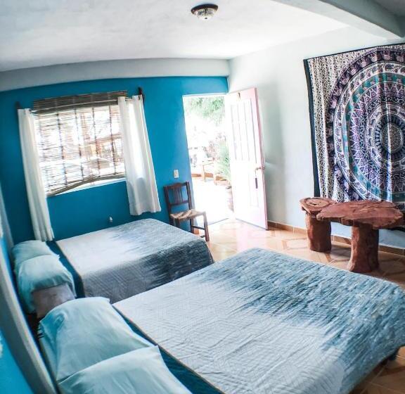 클래식 4인 룸, Colibri