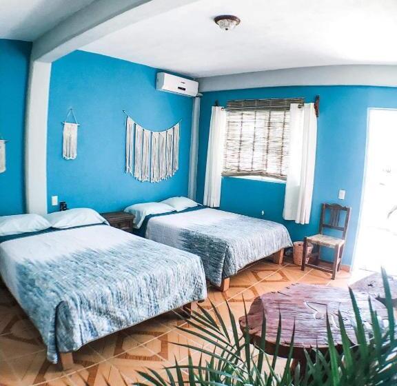 클래식 4인 룸, Colibri