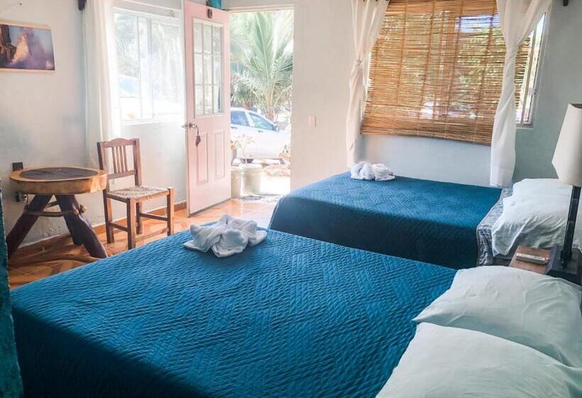 클래식 4인 룸, Colibri