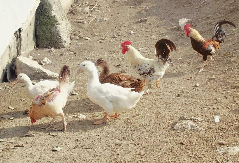 스탠다드 트리플 룸, Il Casale Toscoemiliano