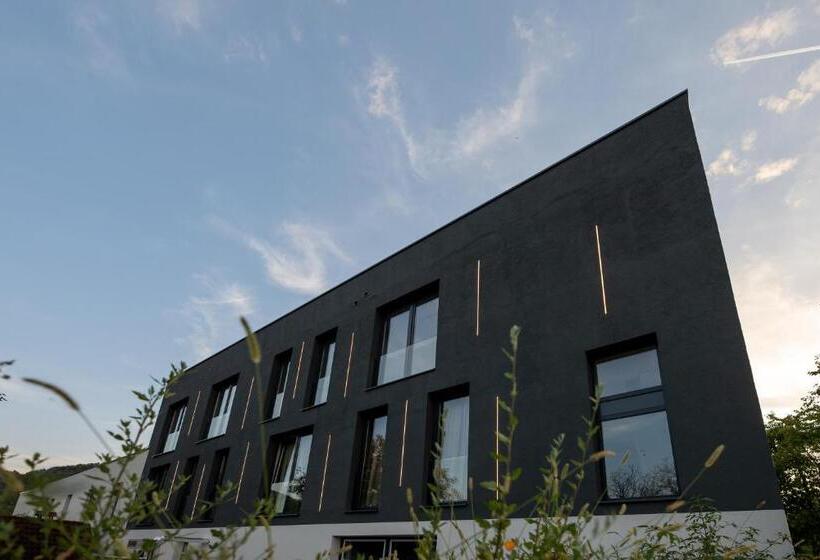 استودیوی لوکس, In