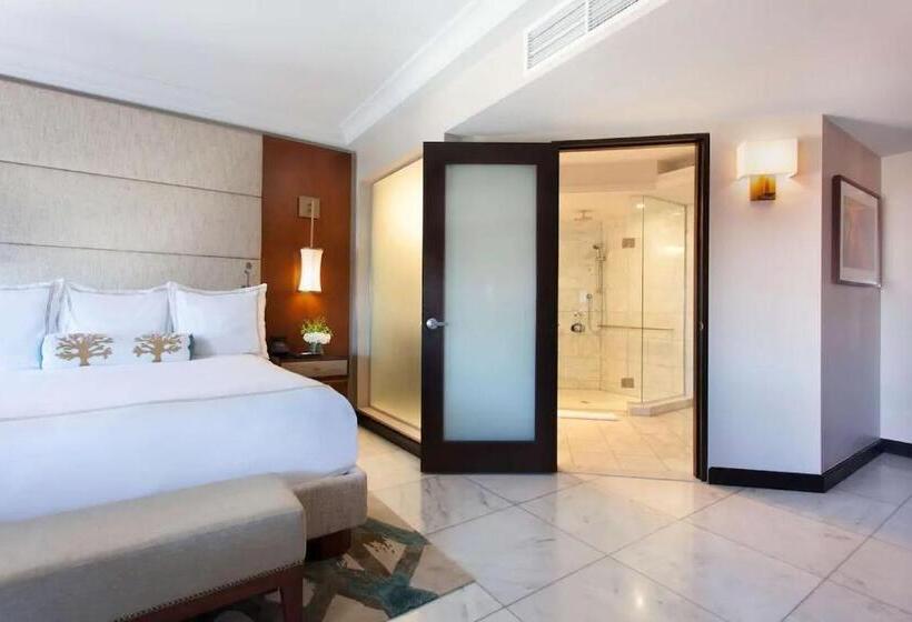 اتاق استاندارد با تخت بزرگ, Condado Vanderbilt