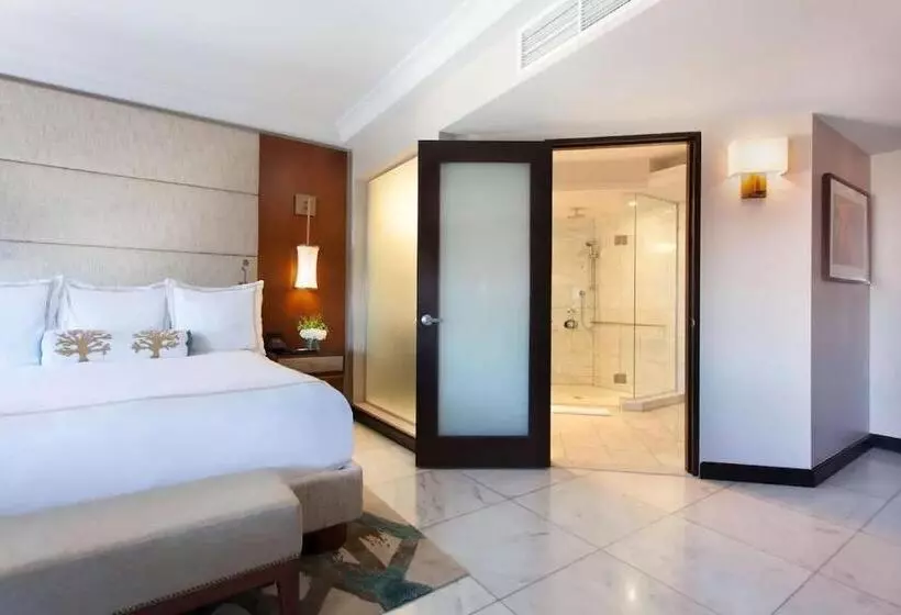 اتاق استاندارد با تخت بزرگ, Condado Vanderbilt
