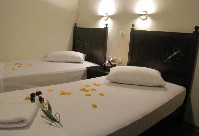 Camera Standard, Mirovoli