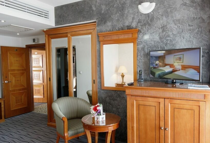 スタンダードシングルルーム, Oltenia