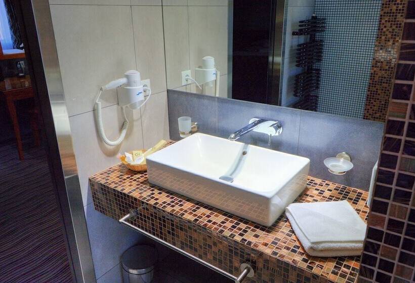 スタンダードシングルルーム, Oltenia