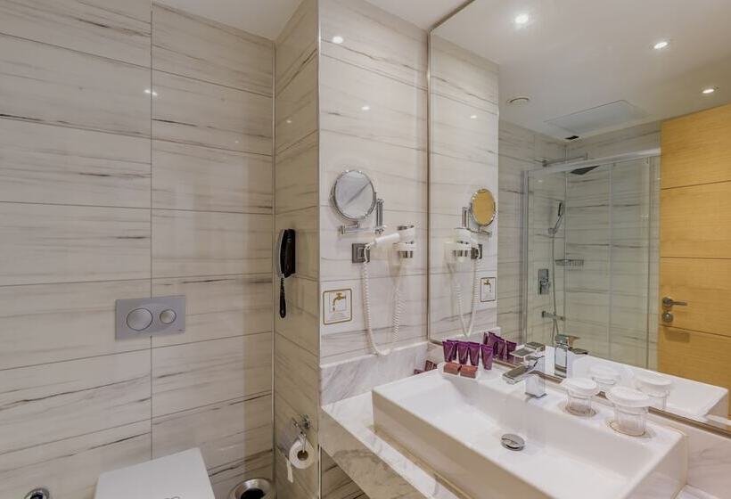 带海景的标准房, Mary Hotels Alanya