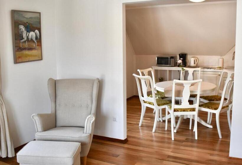 آپارتمان خانوادگی 2 خوابه, Vacation House Vila Mia