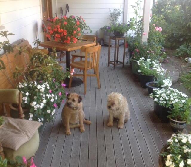 전망 스위트, Kippilaw House