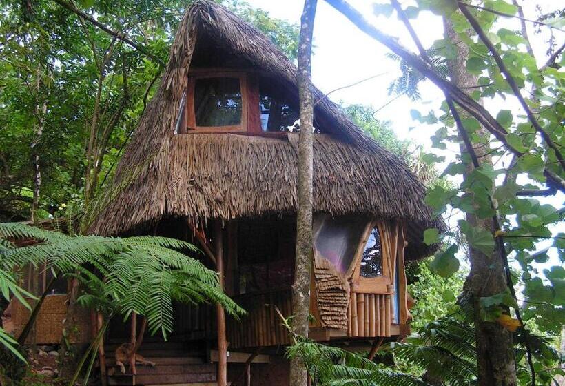 بانگلوی استاندارد, Vanira Lodge