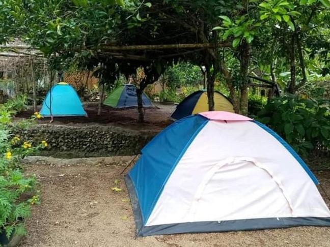 Standard Tent, Jolits Ecogarden Hostel