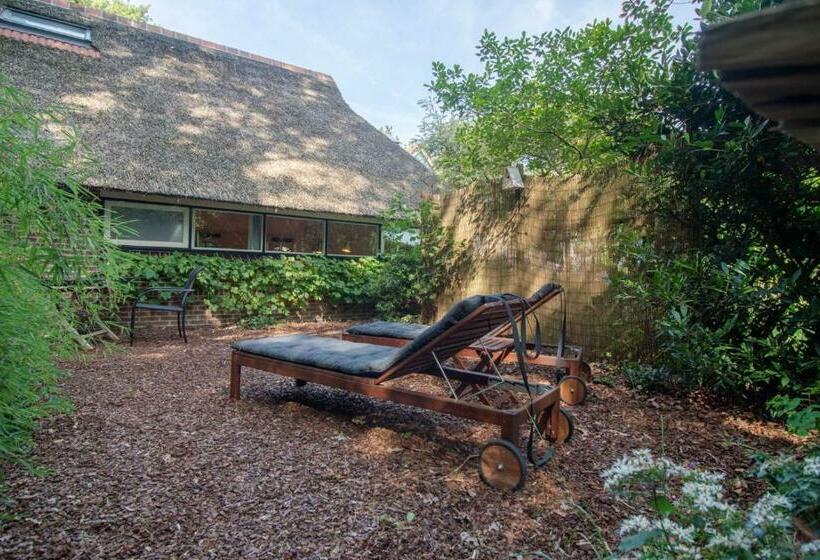 חדר סטנדרט, Drentse Krent