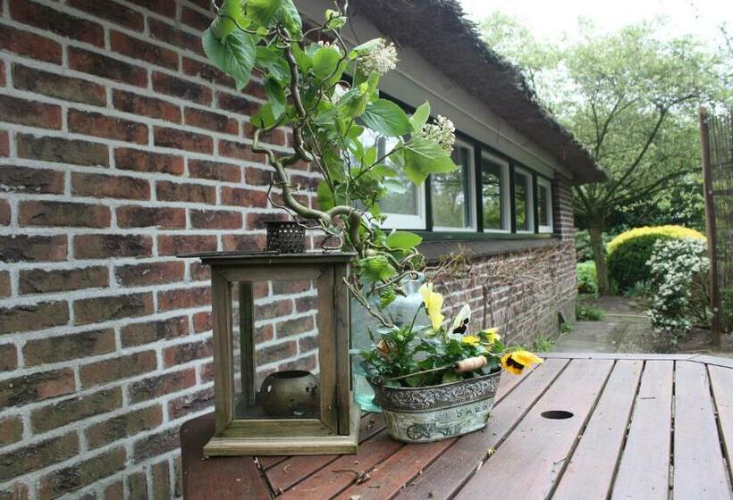 Номер Стандарт, Drentse Krent