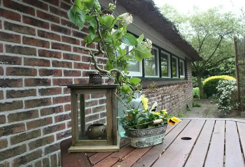 スタンダードルーム, Drentse Krent