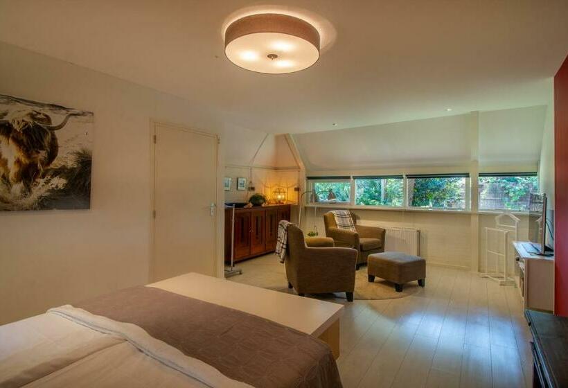 חדר סטנדרט, Drentse Krent