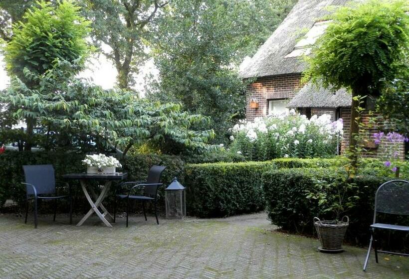 סטודיו דלוקס, Drentse Krent